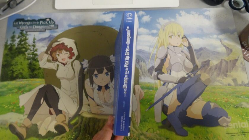 Der Buchrücken hat oben das Tokyopop Light Novel Logo, darunter den Titel "Is It Wrong to Try to Pick Up Girls in a Dungeon?" darunter dann die Nummer des Bandes (1) und am unteren Rand stehen nochmal Autor und Illustrator